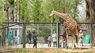 ​我国10大动物园