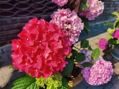 ​将才和帅才，天壤之别！