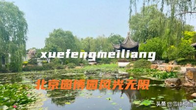 ​北京独特风情韵味的园博园