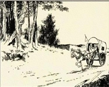 ​蟒蛇渡劫失败，男子出手相救，蟒蛇：回家挖一口水井