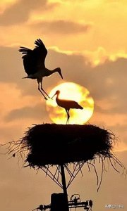 ​50幅顶级摄影大师作品欣赏