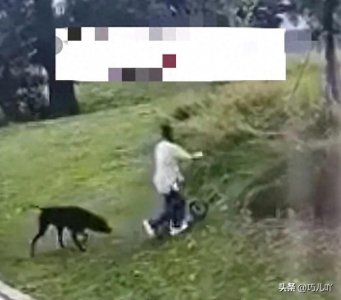 ​女子和三岁女儿被4条恶犬咬成重伤。腿上肉被狗吃了，后背有大洞