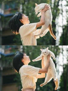 ​喜欢养猫的女生竟活得如此通透又让人心疼！她埋藏的温柔与锋芒…