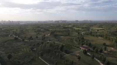 ​榆林：昔日沙海荒山 今朝森林公园