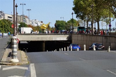 ​« 是谁杀死了戴安娜 ?»，戴妃车祸真相