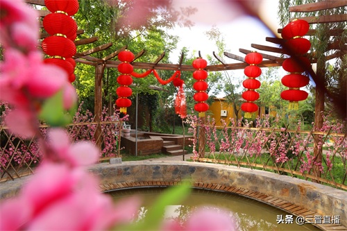 山西夏县：悠乐谷 水美草绿享清凉