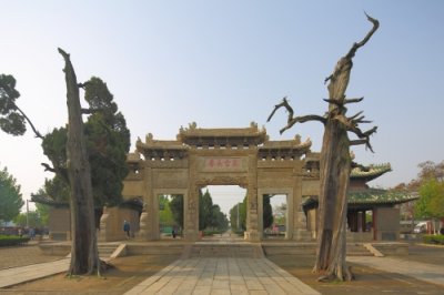 ​寻迹儒学先祖，溯源传统文化——走进孔林