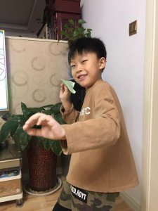 ​纸飞机折叠教程之六：仿真纸飞机