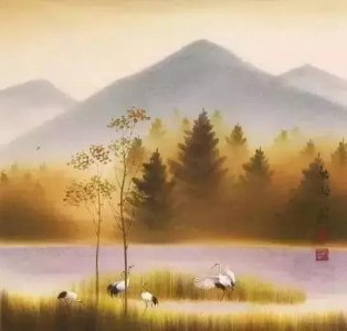 ​云中松鹤每日感悟（287）为什么说“冥冥之中，皆有定数”?