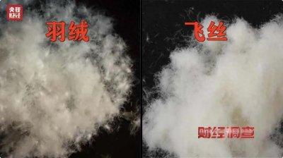 ​假羽绒制品满天飞？消失的不只是羽绒