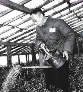 ​柔情似梦，韵味无穷—30张老照片领略民国女子风采