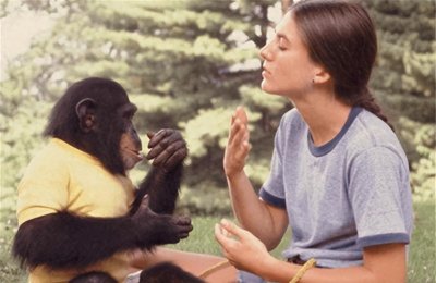 ​违背伦理的人猿杂交实验引发的警示