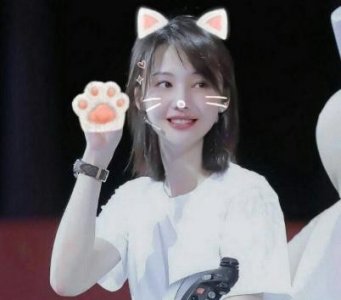 ​张恒的郑爽新作《青春斗》热映 3.24 定档上海、东方卫视和芒果tv