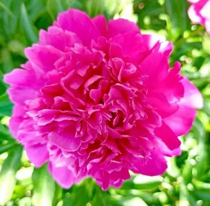 ​中了双色球3+1