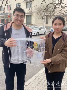 ​濒危物种红色名录！太原晋源区成功救助一只金头凯克鹦鹉