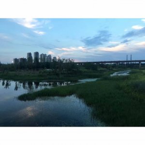 ​一起来感受下 襄阳最大的湿地公园——月亮湾公园