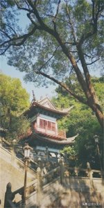 ​二月初二讲究大！除了不能洗衣服，还有三个忌讳？