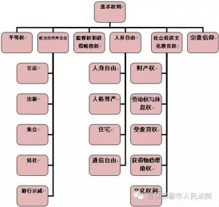 ​我国宪法规定公民的基本权利有哪些？