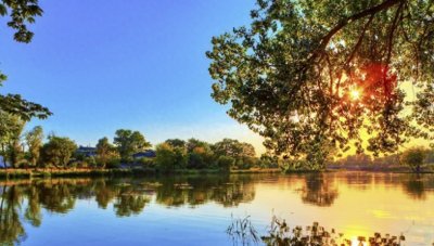 ​徐志摩的情话