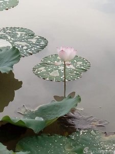 ​“你是神经病啊！”为什么一句骂人的话？