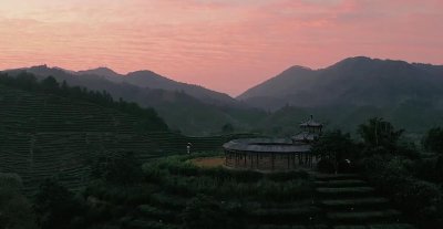 ​（文化潮州）潮州工夫茶：凤凰单丛