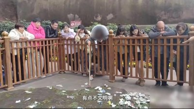 ​乐山大佛祈福池惊现“捞钱”女孩，百元大钞成目标！