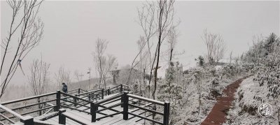 ​昆明轿子雪山下雪了！纷纷扬扬的雪花从天而降