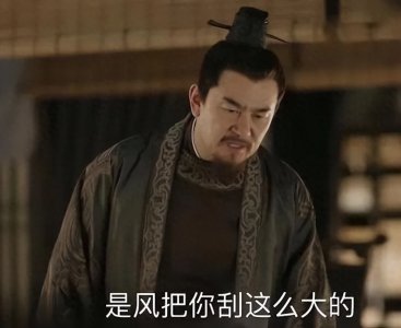 ​知否：顾廷烨十五岁时，小秦氏就算计了他的第一个孩子