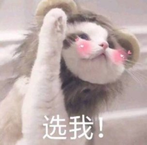 ​打折下车VS继续死磕，玖富、PPmoney等平台的出借人该pick哪个？