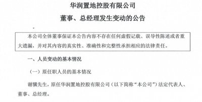 ​月薪11.53万！华润置地任命建筑学硕士出身高管晋升总经理！