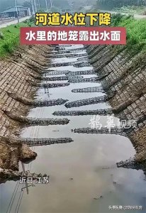 ​地笼之殇：保护生态，拒绝残忍