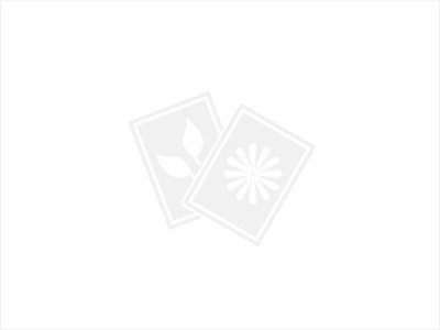 ​小学生化妆世锦赛开赛 Pony都没这帮娃会玩