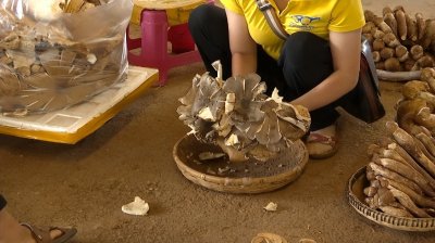 ​炸鸡枞油的时机，就是现在