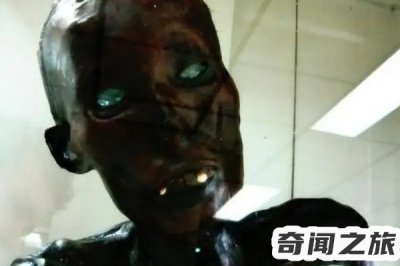​细伟干尸真实照片（细伟干尸图片 真实事件）