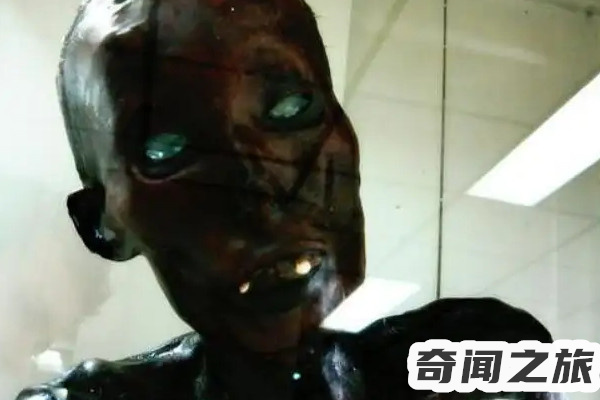 细伟干尸真实照片（细伟干尸图片 真实事件）(1)_